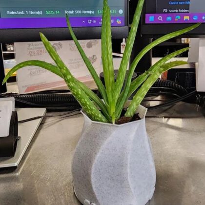 Small Planter with hearts