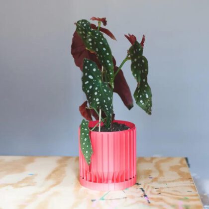 large deco planter lite (vase mode)