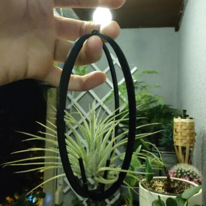 Planter remix