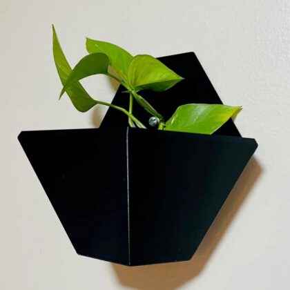 Plant Holders - Wall Mounted