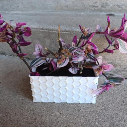 Window Planter