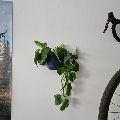 Easy Modern polygon wall planter