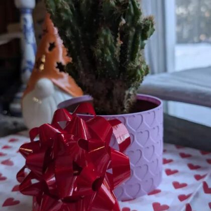 Heart Pattern Planter - Valentine's Day Classic
