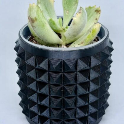 Spiky Planter