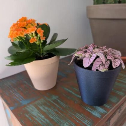 Minimalist Geometric Planter – 60x90x90 mm