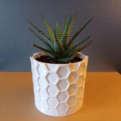 Honeycomb Pot 1