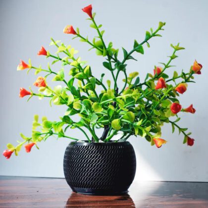 Spherical Desk Planters (2 Designs)