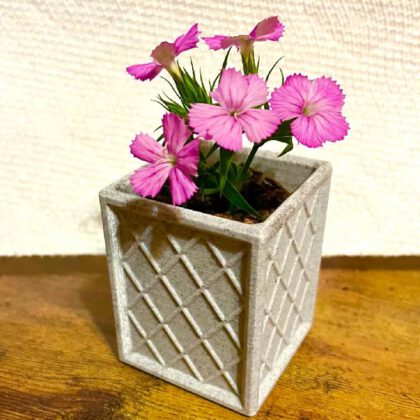 Small Planter with Drainage (and tray)