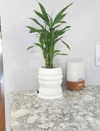 Planter