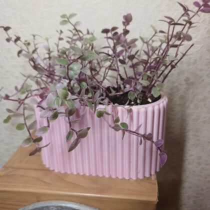 Tall Planter with Vertical Lines