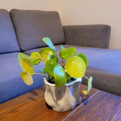 Concrete Planter Mold