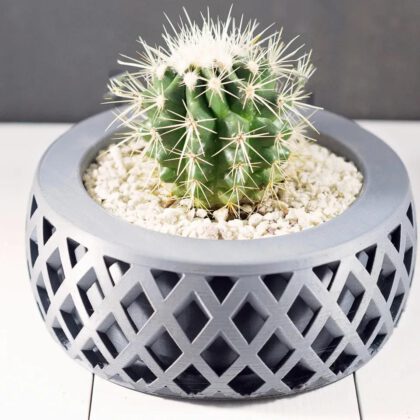 Criss Cross Planter