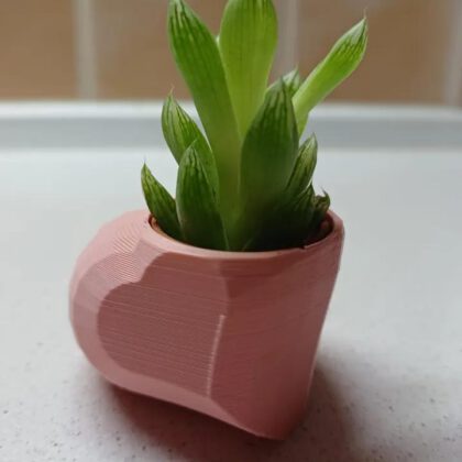 Heart shaped polygon planter with hole for IKEA Haworthia succulent