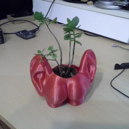 Arsch mit Ohren Blumentopf - ass with ears flower pot