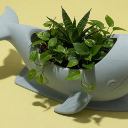 Whale Planter Pot Cute Animal Succulent Indoor Plant Holder