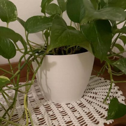 Big Simple Vase
