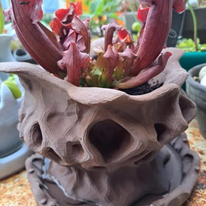 Pot alien pour plante alien