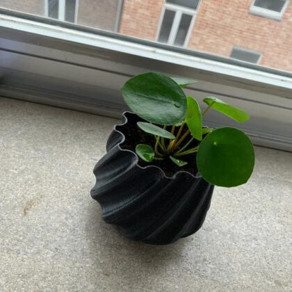 Twisted planter with integrated water reservoir ( onepiece _ No support)