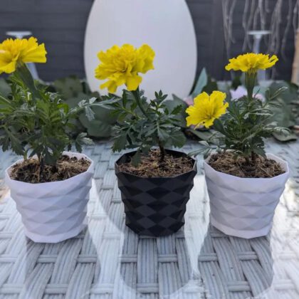 Small Plant Pot