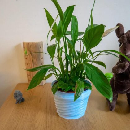 Swirling flower pot