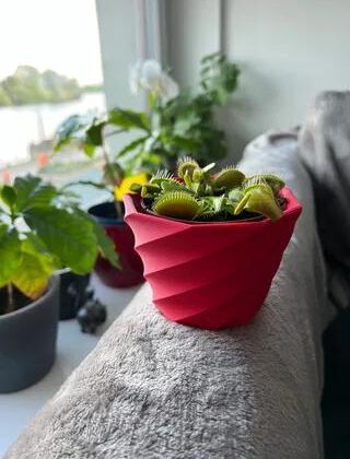Spiral Planter / Vase / Cup