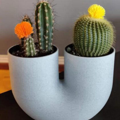 U Vase