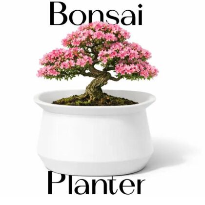 Bonsai Planter (Pot)