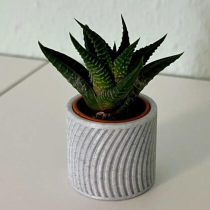 Small Planters 35mm