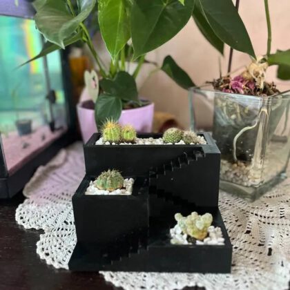 3D-Printed Succulent and Cacti Planter: A Miniature Oasis