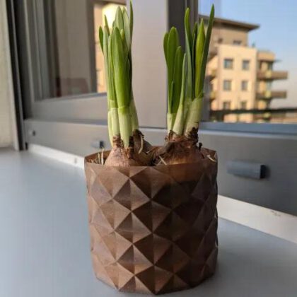 Succulent Plant Pot / Planter "Daisy"