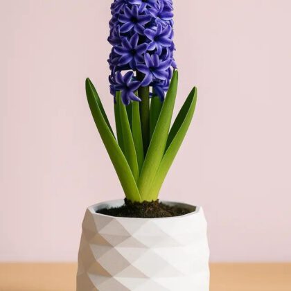 Low Poly plant vase