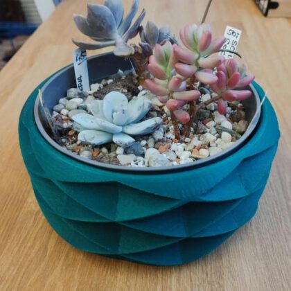 Succulent planter