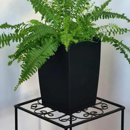 Modern Tall Planter