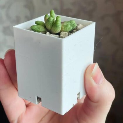 Small square pot with openings for "breathing"
