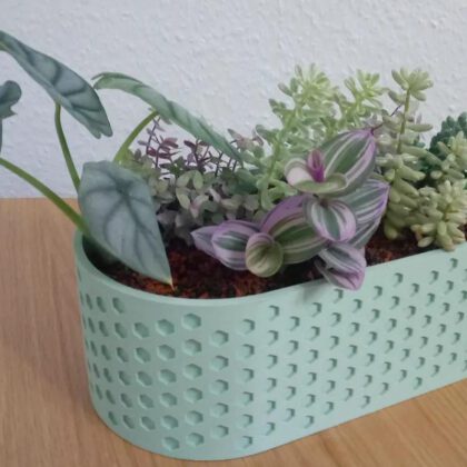 Parametric Succulent Pot