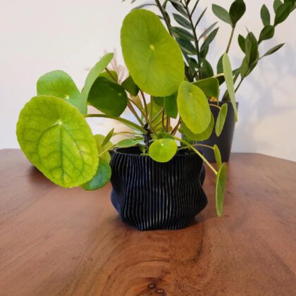 Organic Planter 9cm