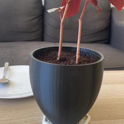 Simple Curved Planter