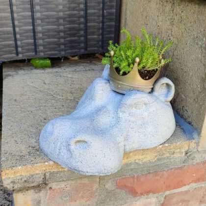 Nilpferd mit Krone / Hippopotamus with a crown
