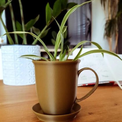 Coffee Mug Planter