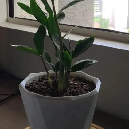 Basic Plant Pot
