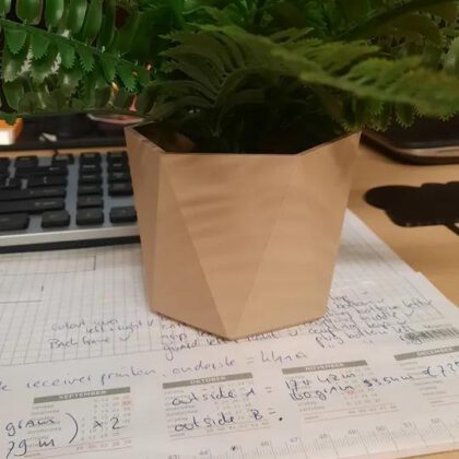 Hexagonal Planter