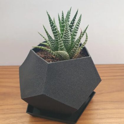 Polygon plant pot