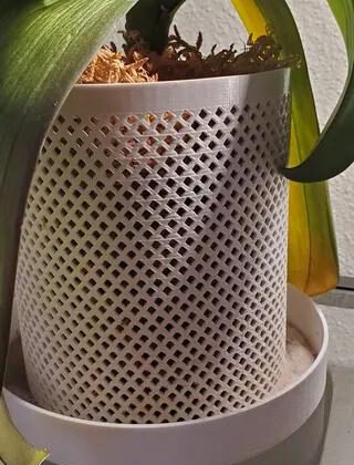 Orchid Pot