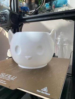 Cat Planter without Supports