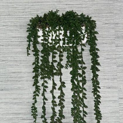 Hanging Planter