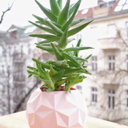 Geodesic planter